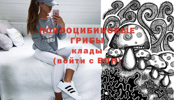 молекула духа Алзамай