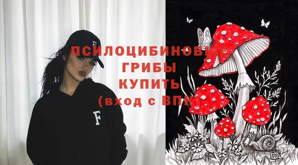 стафф Алексеевка