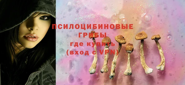 стафф Алексеевка